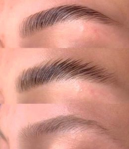 CURS LAMINARE SPRANCENE